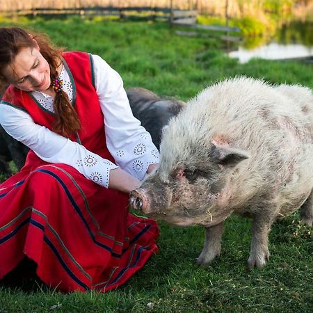 شقة Tierstiftung Eulalia Babieta المظهر الخارجي الصورة